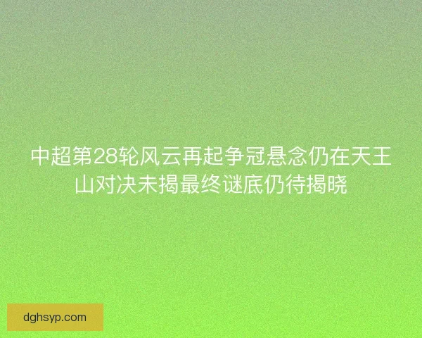中超第28轮风云再起争冠悬念仍在天王山对决未揭最终谜底仍待揭晓