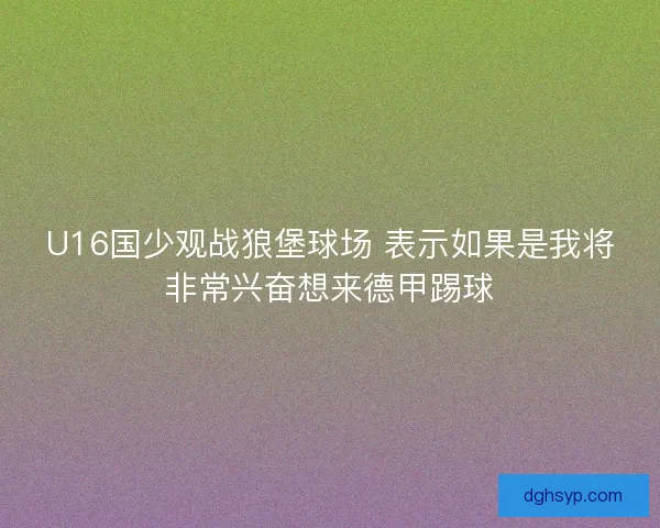 U16国少观战狼堡球场 表示如果是我将非常兴奋想来德甲踢球