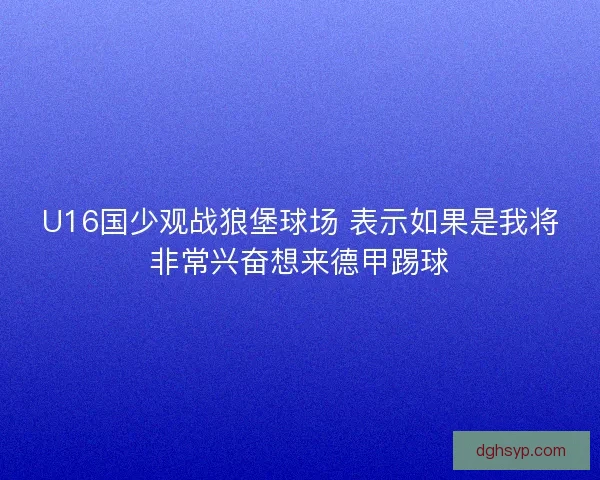 U16国少观战狼堡球场 表示如果是我将非常兴奋想来德甲踢球
