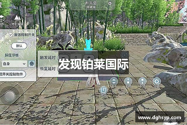 发现铂莱国际