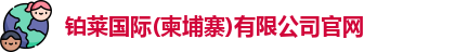 铂莱国际